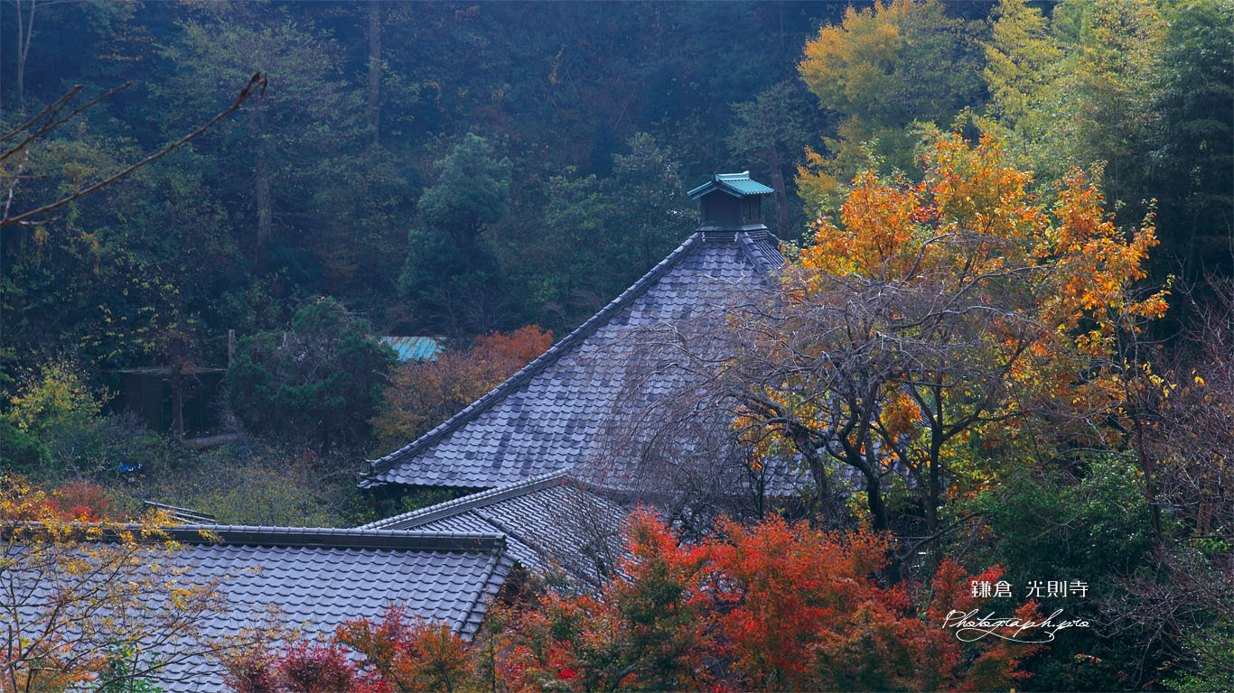 鎌倉光則寺の紅葉の堂宇 壁紙