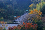 鎌倉光則寺の紅葉の堂宇