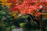 安国論寺 紅葉と参道