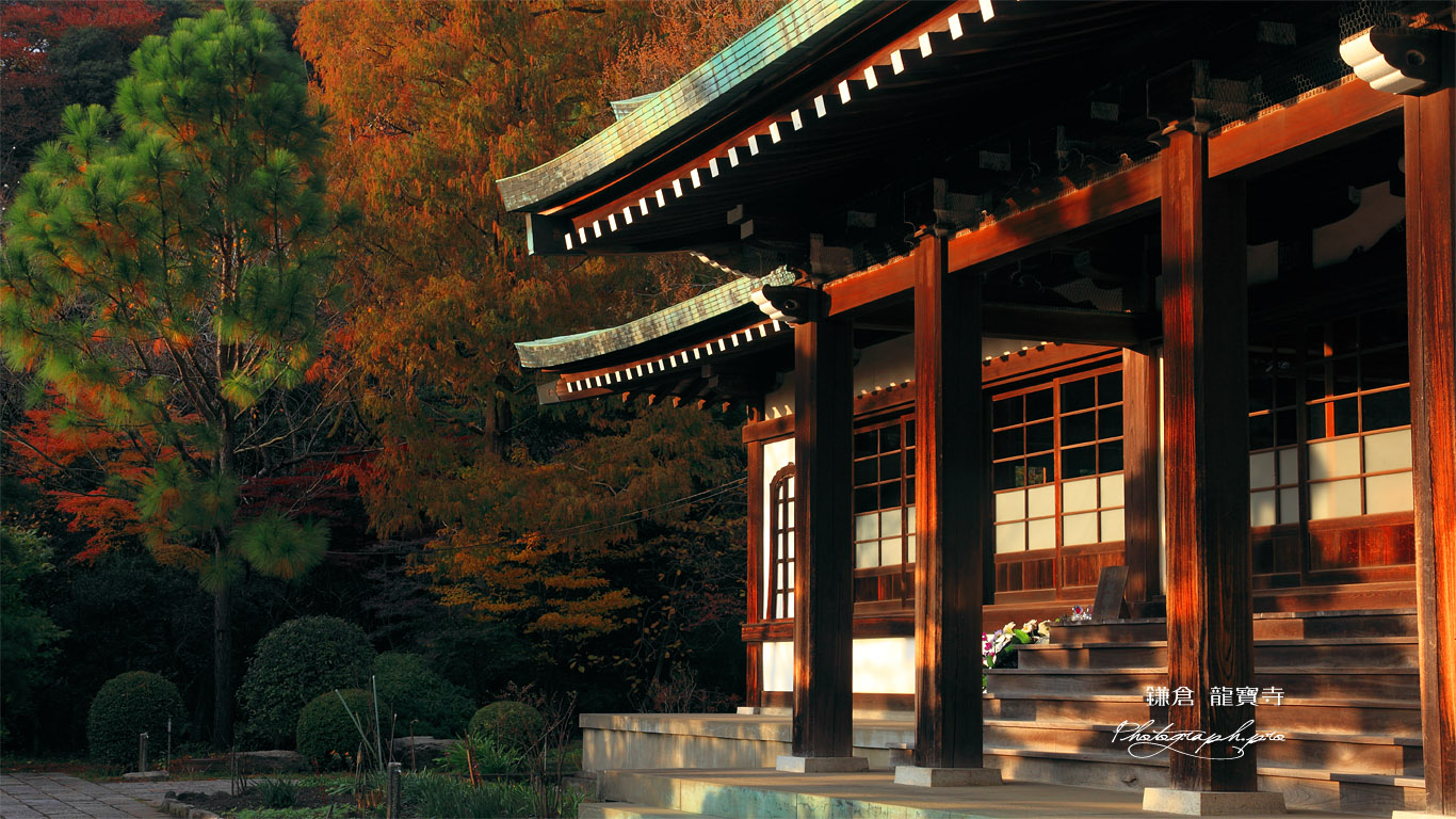 鎌倉龍宝寺 夕照の本堂 壁紙