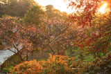 龍宝寺