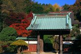 鎌倉久成寺 紅葉と山門