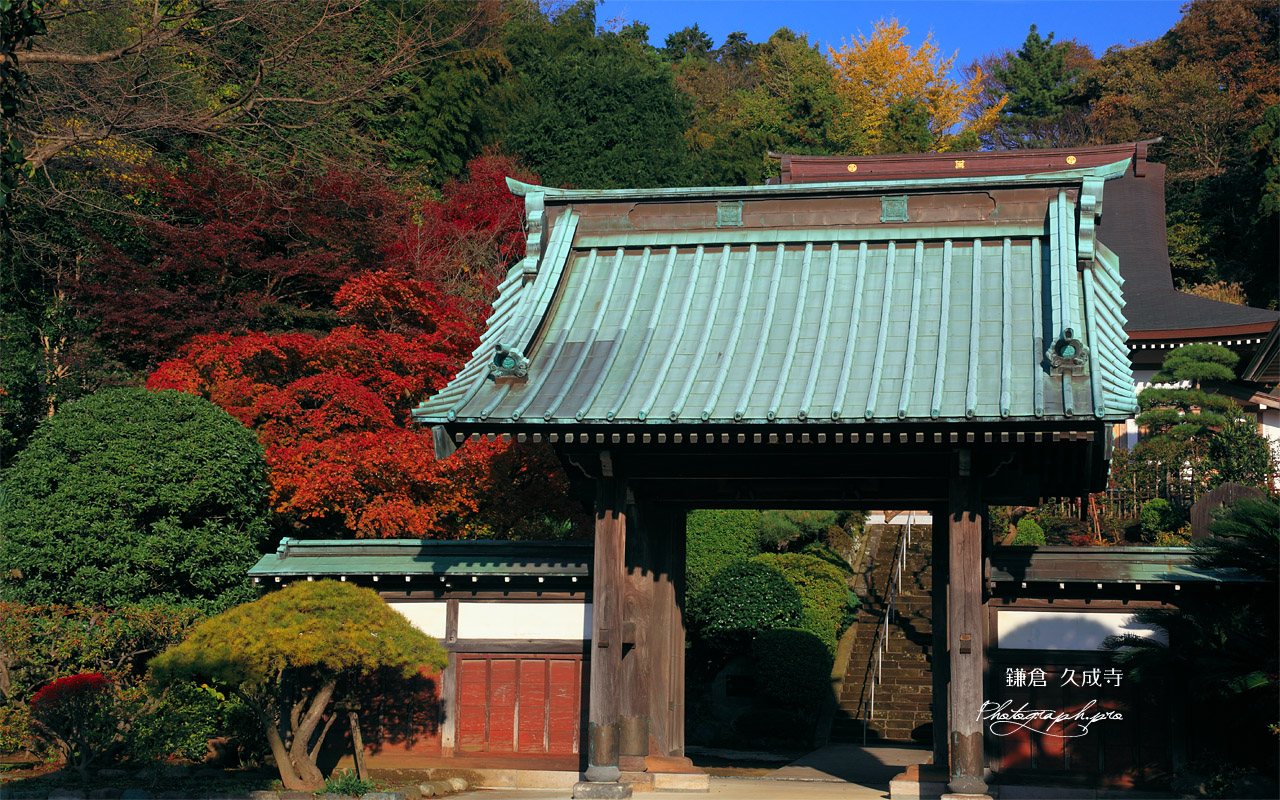 鎌倉久成寺 紅葉と山門 壁紙