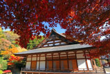 久成寺 紅葉と本堂