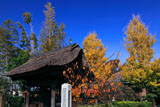 鎌倉成福寺 山門と紅葉の境内