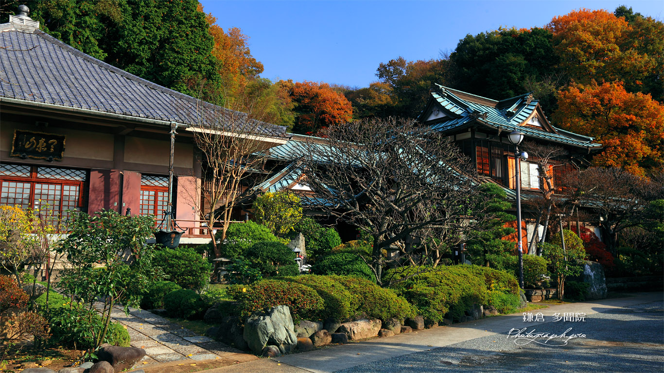 紅葉の山内 壁紙
