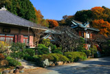 紅葉の山内