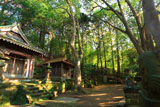 熊野神社（大船） 本殿と末社