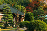 鎌倉大長寺 本堂と紅葉