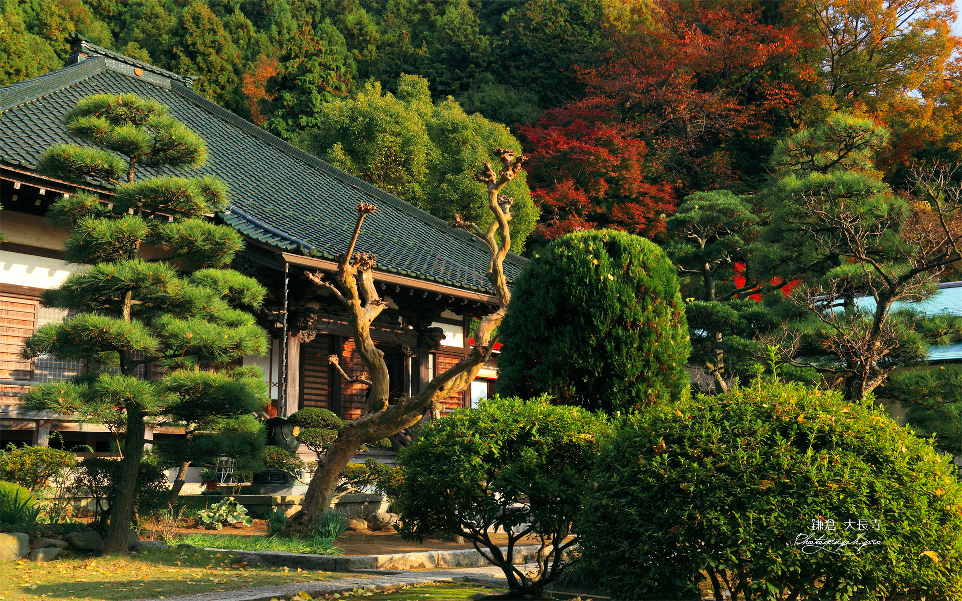 鎌倉大長寺 本堂と紅葉