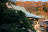鎌倉西念寺 本堂と雑木紅葉