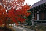 鎌倉大慶寺 紅葉と本堂