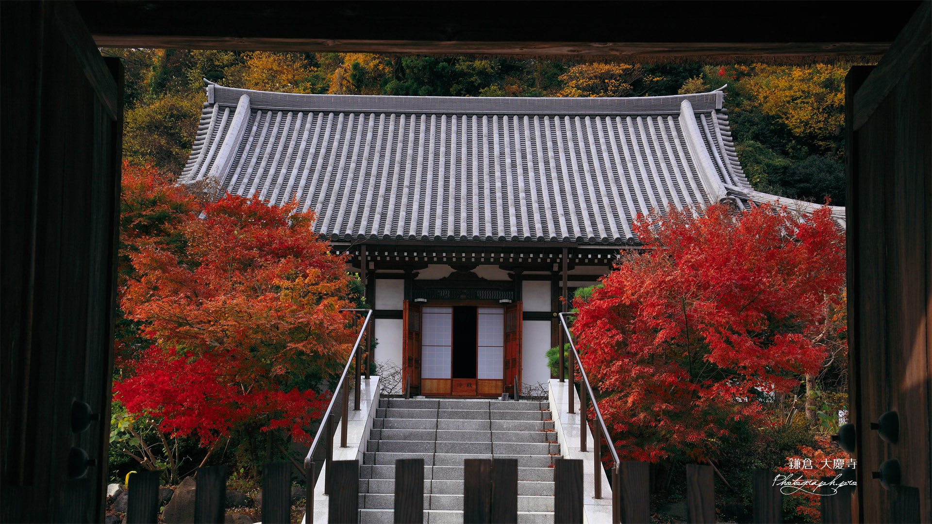 鎌倉大慶寺 山門越しの紅葉と本堂