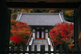 鎌倉大慶寺 山門越しの紅葉と本堂