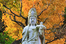 東光寺