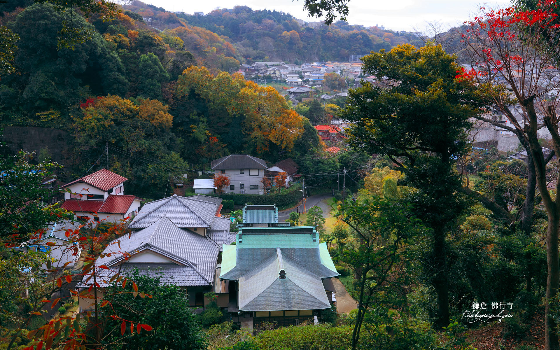 佛行寺 秋色の笛田