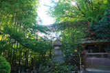 鎌倉報国寺 五輪塔群と山茶花