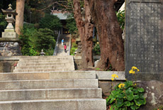 甘縄神明神社