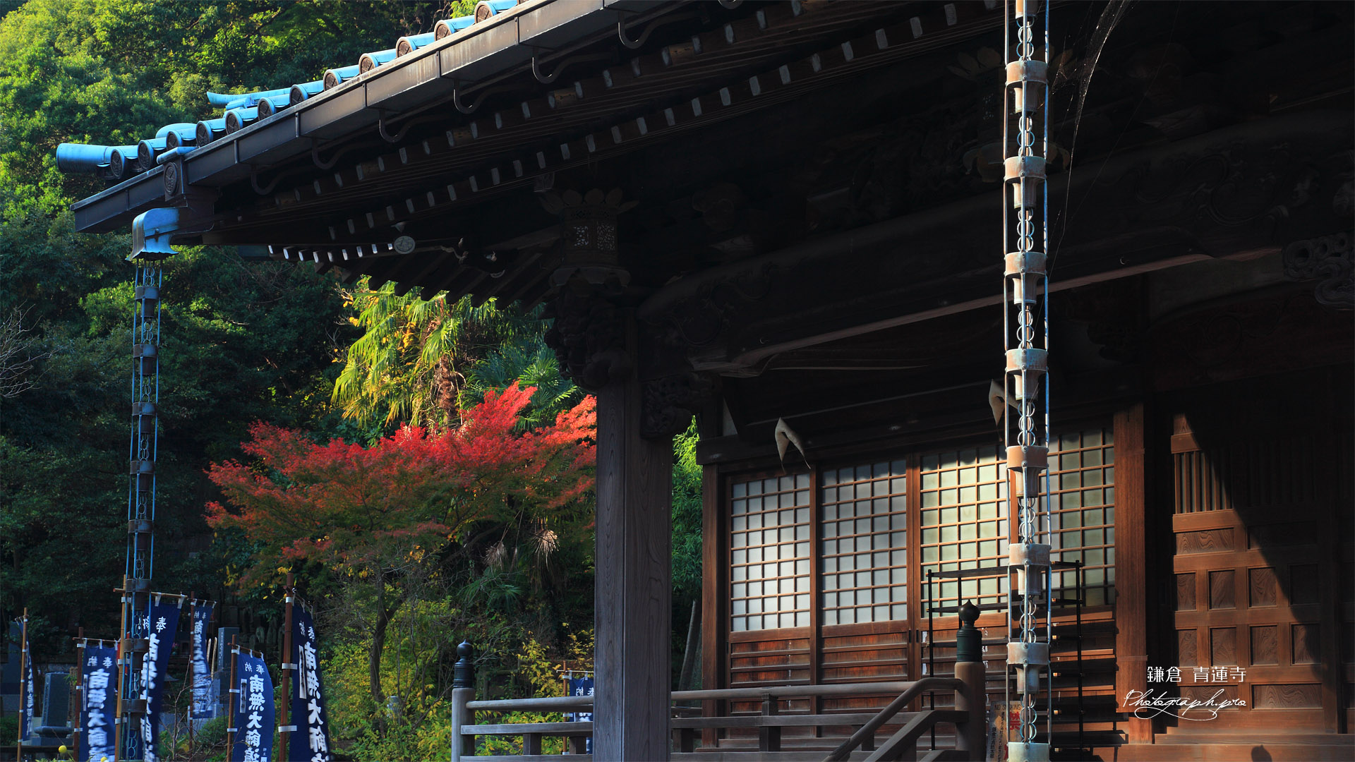 鎌倉青蓮寺 本堂と紅葉