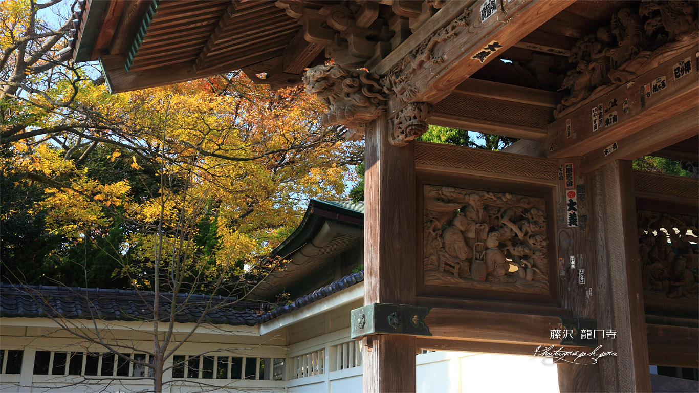 龍口寺山門と黄葉 壁紙