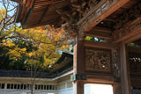 龍口寺山門と黄葉