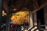 小動神社