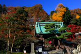 錦秋の長谷寺