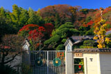 鎌倉英勝寺通用門と紅葉の山内