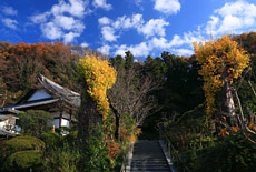 来迎寺（西御門）