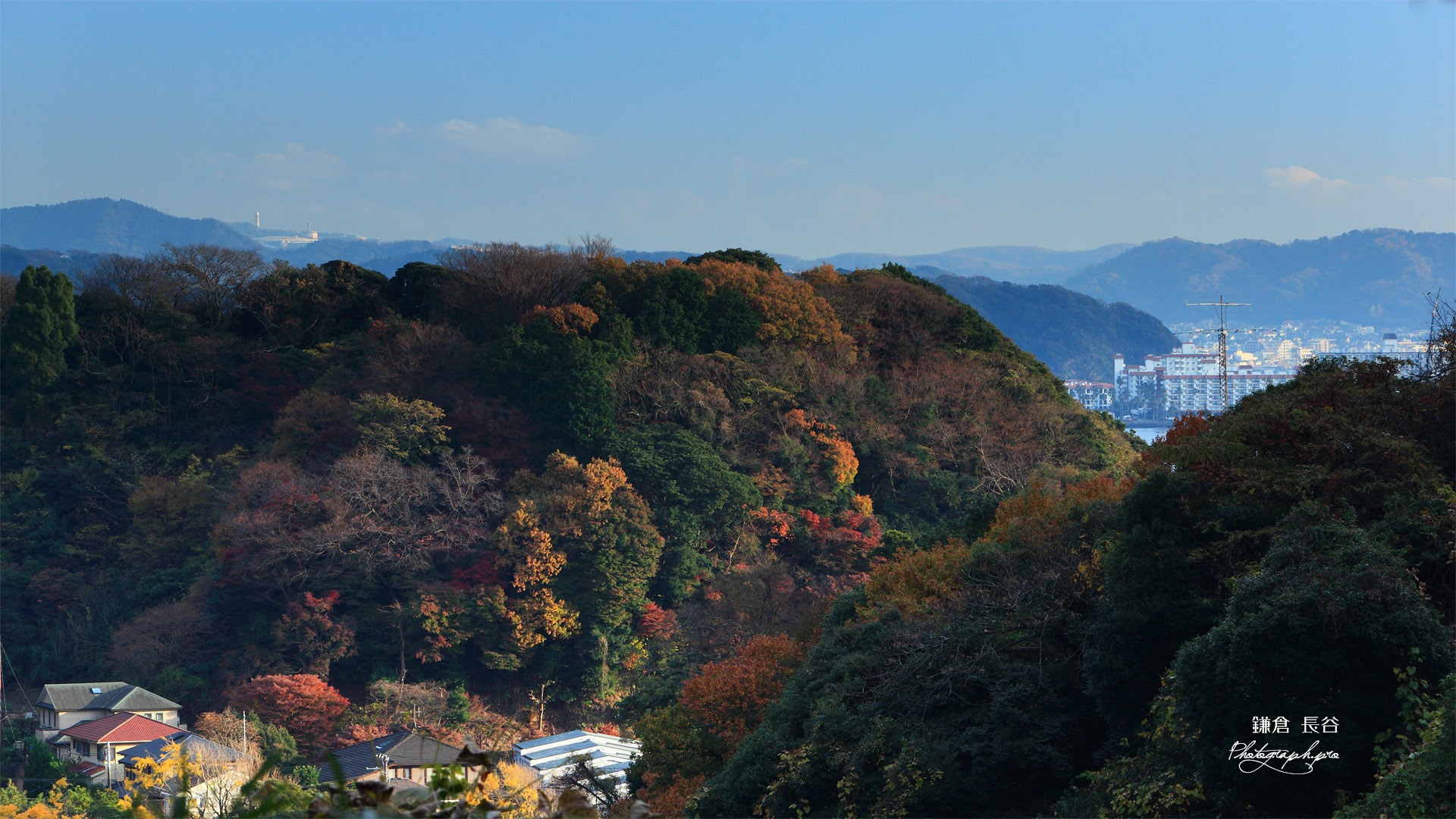 鎌倉長谷 大仏切通からの長谷の紅葉