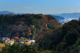 鎌倉長谷 大仏切通からの長谷の紅葉
