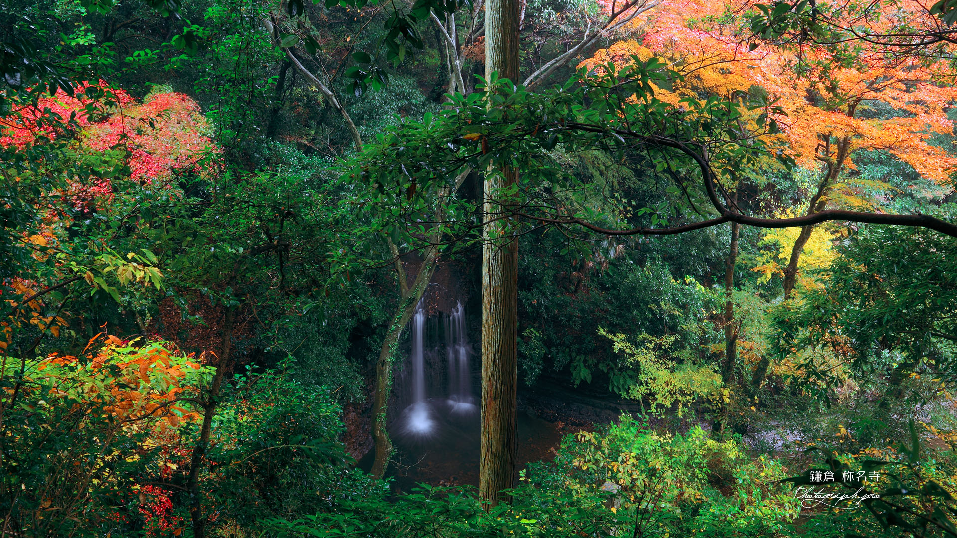 称名寺 陰陽の滝