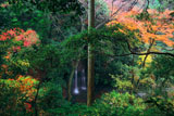 称名寺 陰陽の滝