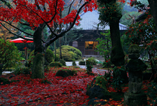 海蔵寺