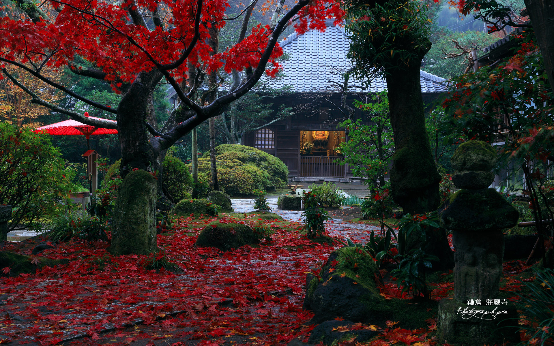 海蔵寺 紅葉と仏殿
