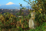 衣張山のお地蔵様と小菊