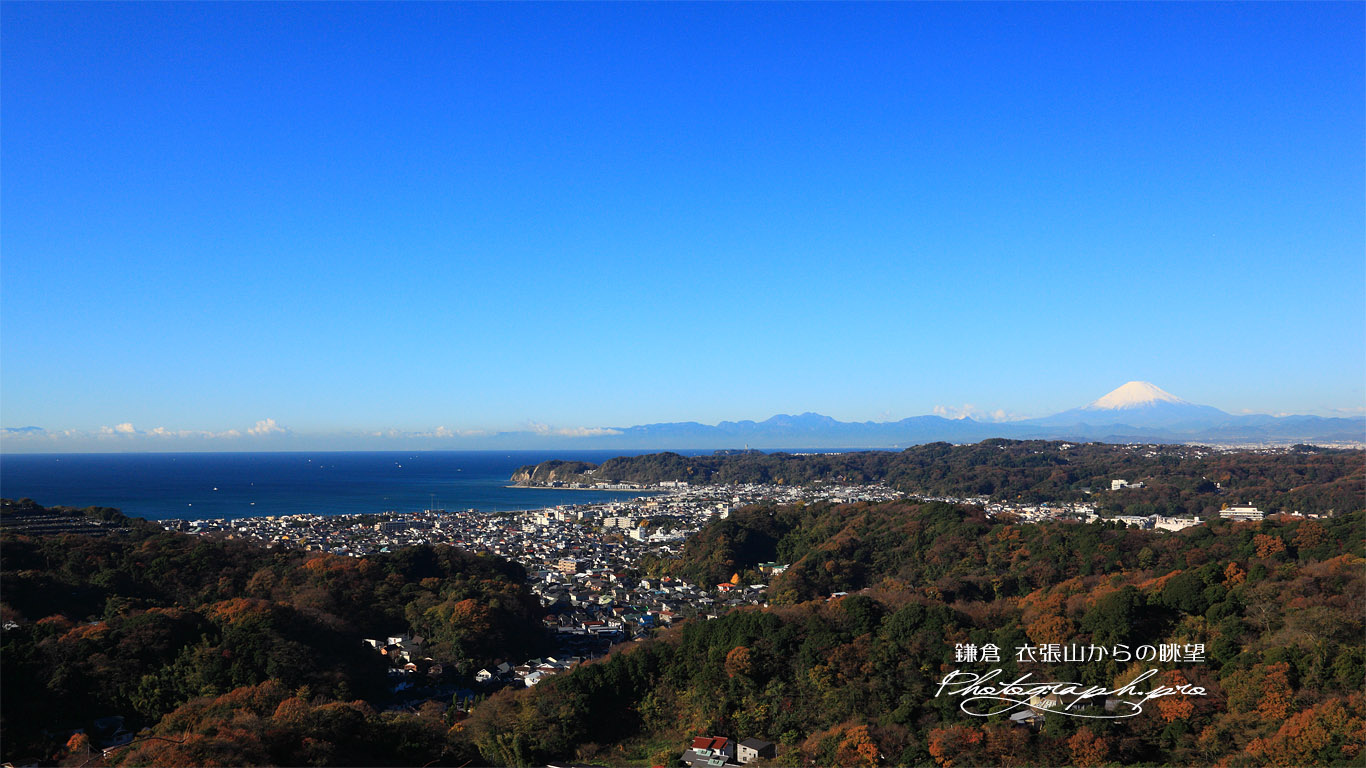 鎌倉 衣張山からの雑木紅葉と富士山 壁紙