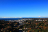 鎌倉 衣張山からの雑木紅葉と富士山