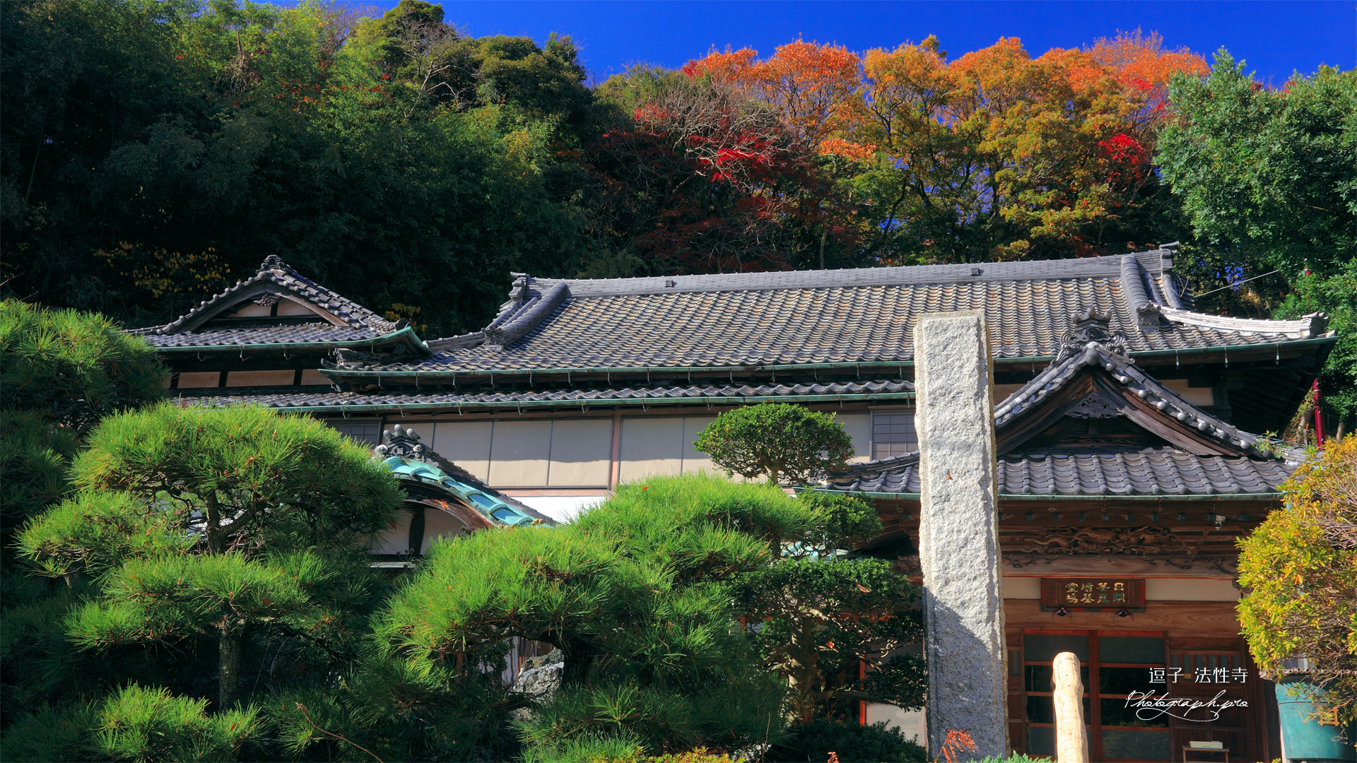 逗子法性寺庫裏と紅葉
