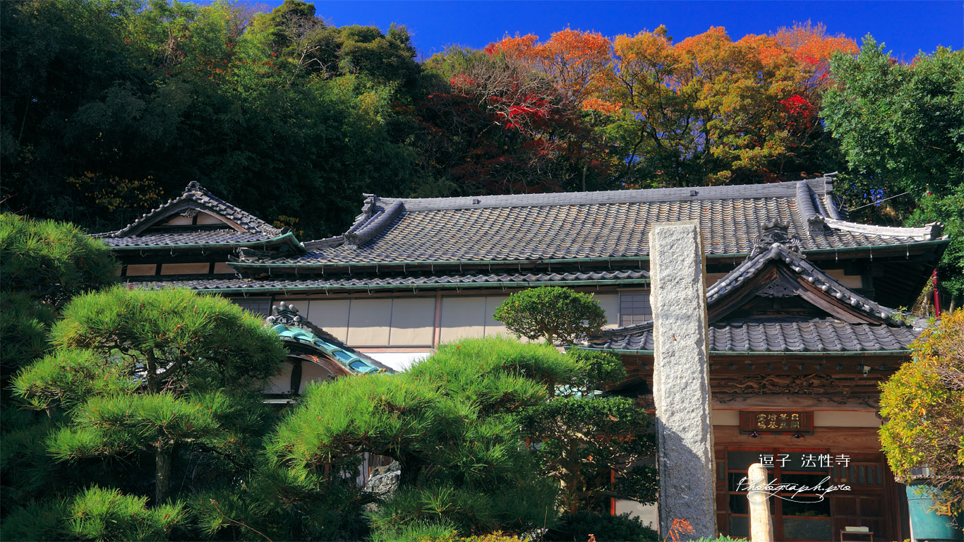逗子法性寺庫裏と紅葉 壁紙