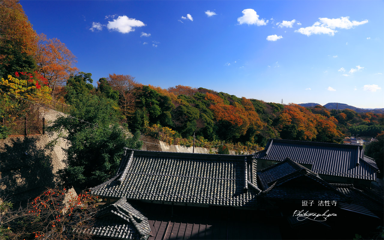 逗子法性寺本堂側の坂道から 壁紙