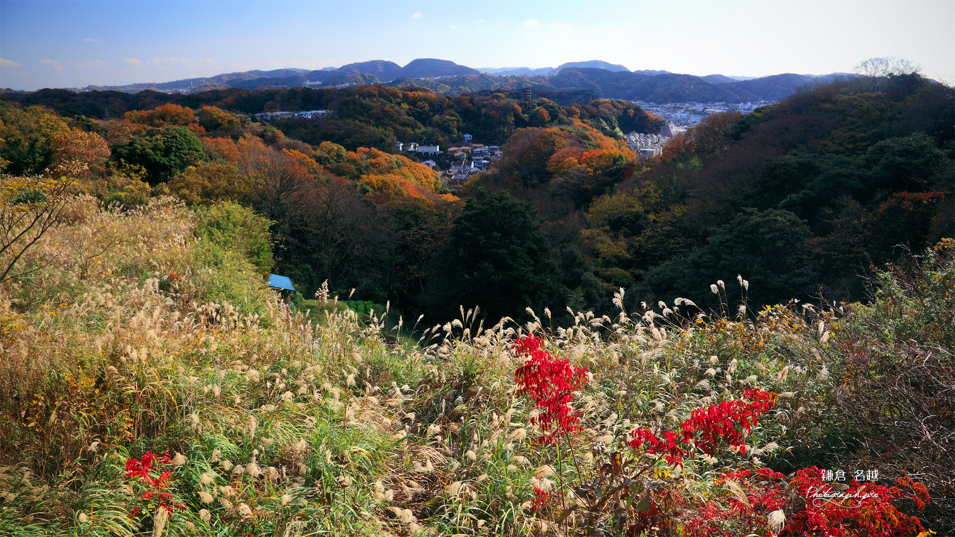 名越から雑木紅葉の逗子