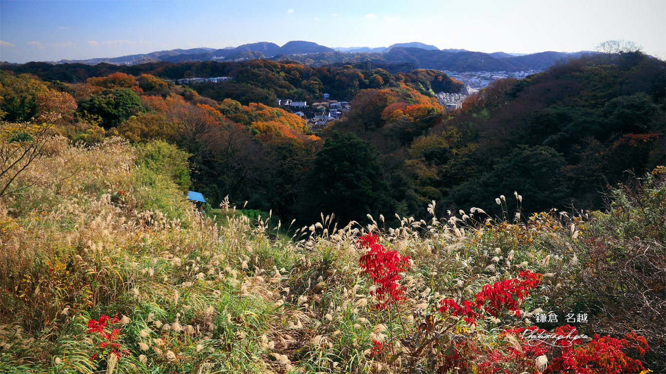 名越から雑木紅葉の逗子 壁紙