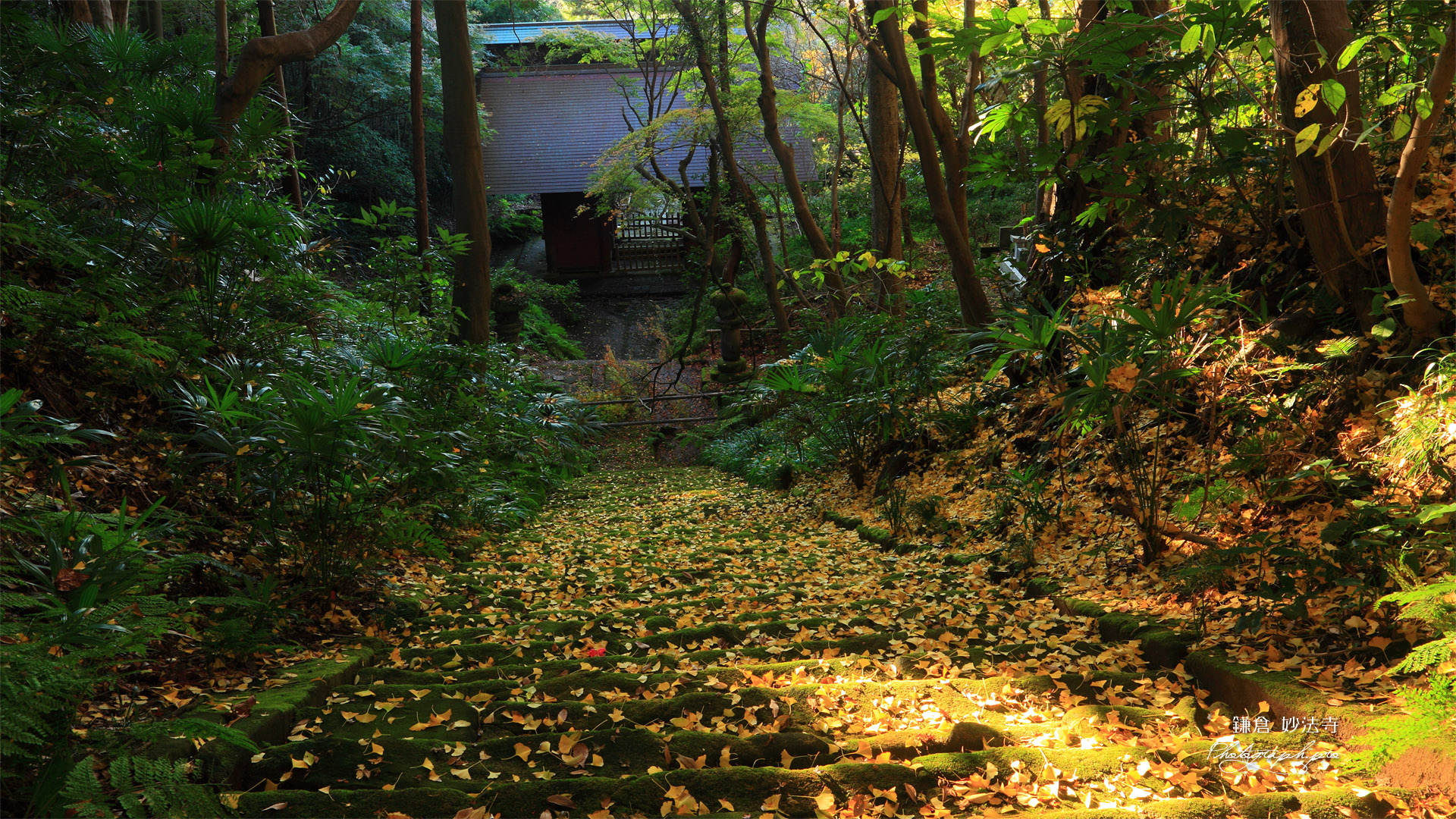 鎌倉妙法寺 苔石段と仁王門