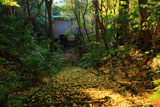 鎌倉妙法寺 苔石段と仁王門