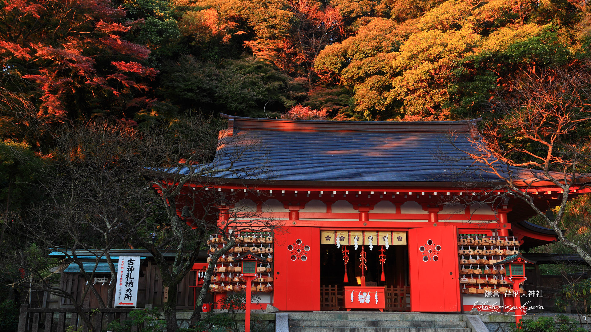 荏柄天神社拝殿と紅葉