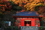 荏柄天神社拝殿と紅葉
