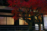 本覚寺 宵の紅葉と本堂