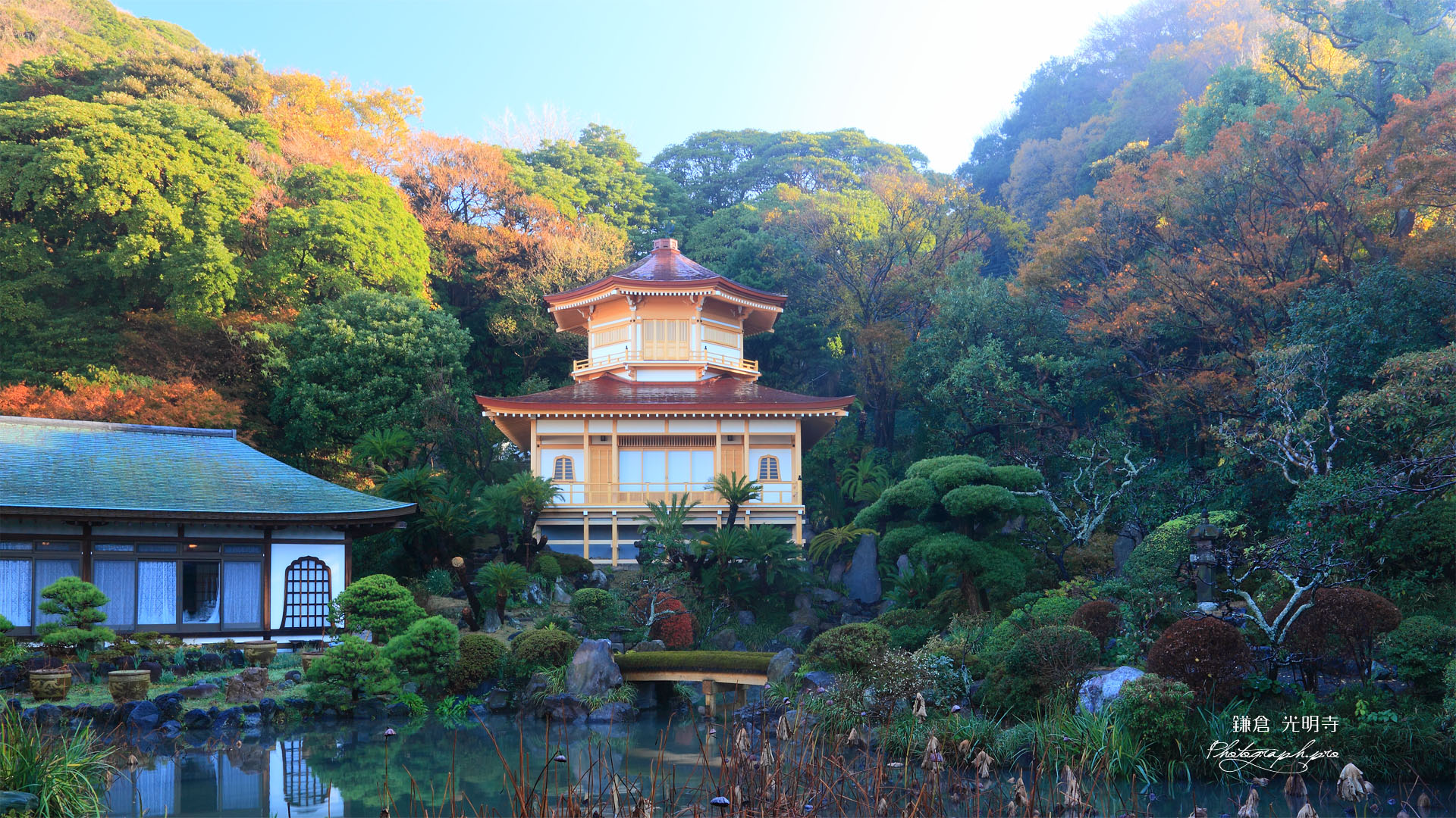 光明寺記主庭園の紅葉