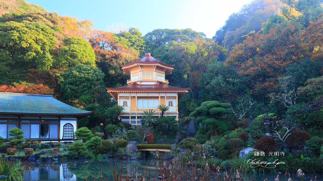光明寺記主庭園の紅葉 壁紙